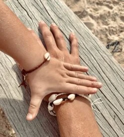 Single Cowrie Shell Assorted -Salty Shreds image 43db9e9f 1f03 4ca6 91dc 041ec045f466