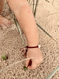 Single Cowrie Shell Assorted -Salty Shreds image 471e3dab 8d8a 4adf b54a 7844ca1f6156