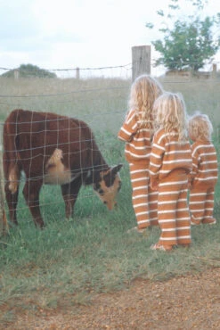 Coastal Stripe Organic Knit Pullover - Groms -Salty Shreds image 91f15d55 aa24 45a3 bffe 79f2e48e6284 1