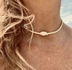 Single Cowrie Shell Assorted