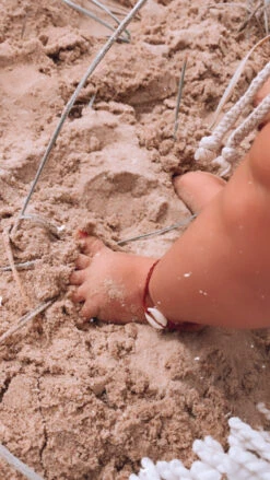 Single Cowrie Shell Assorted -Salty Shreds image a08c4386 78cd 4c8d 9a85 a4ac17005455