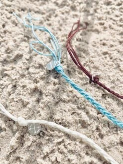 Single Cowrie Shell Assorted -Salty Shreds image bd84041a dd19 4466 b70b 384a4137f3e6